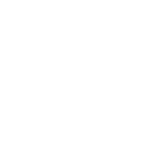 Dog Scootern